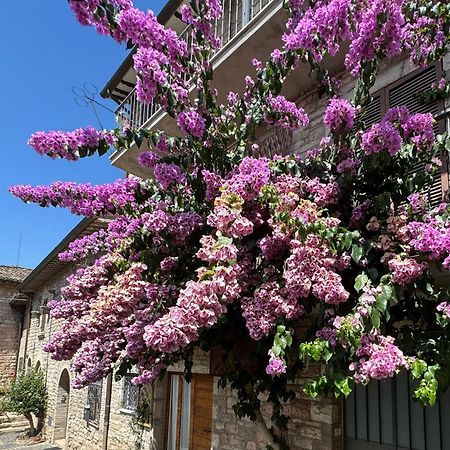La Bouganville Assisi Kültér fotó