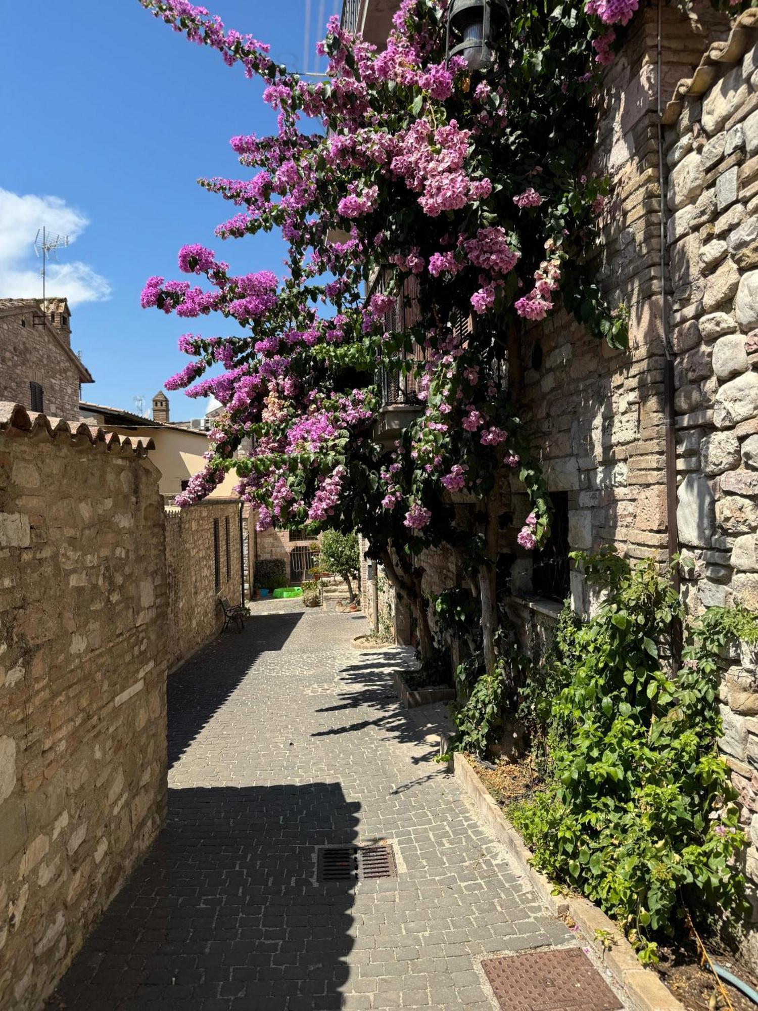 La Bouganville Assisi Kültér fotó